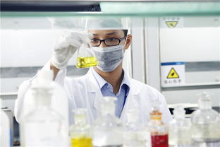 新高考“3+1+2”模式下，選定物理或歷史后，剩余兩科如何科學抉擇？—— 一份全面的信息咨詢服務(wù)指南